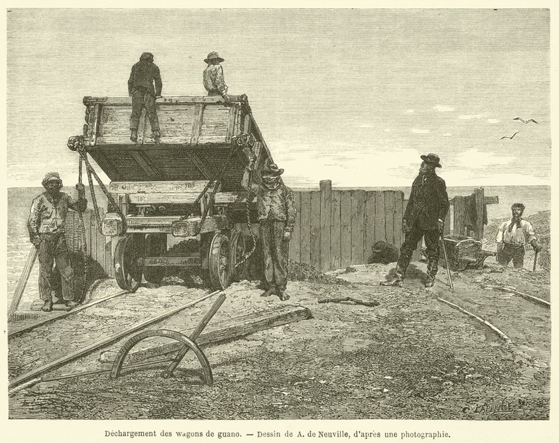 Descarga de vagões guano (gravura) de French School