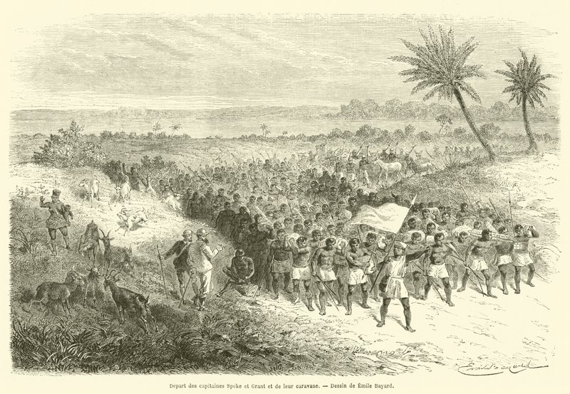Partida dos Capitães Speke e Grant e sua caravana (gravura) de French School
