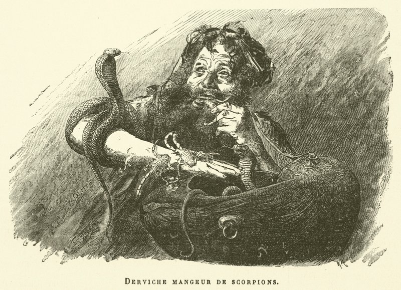 Dervish Eater Of Scorpions (gravura) de French School