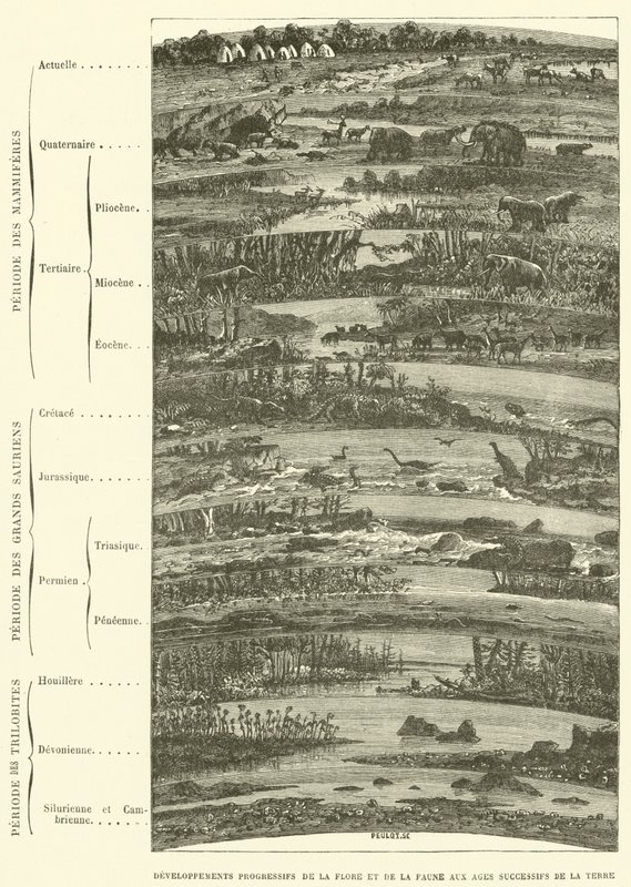 Desenvolvimento progressivo da flora e da fauna nas sucessivas eras da terra (gravura) de French School