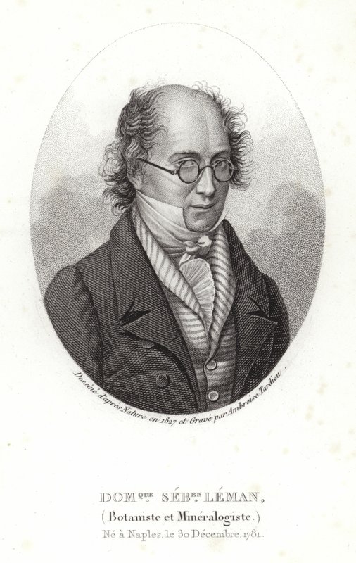 Dominique Sebastion Leman de French School