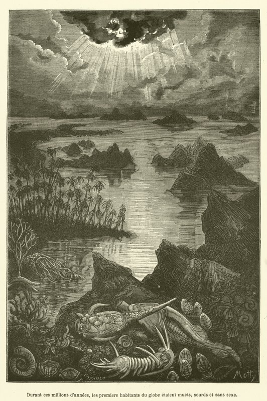 Durante esses milhões de anos, os primeiros habitantes do globo foram mudos, surdos e sem sexo (gravura). de French School