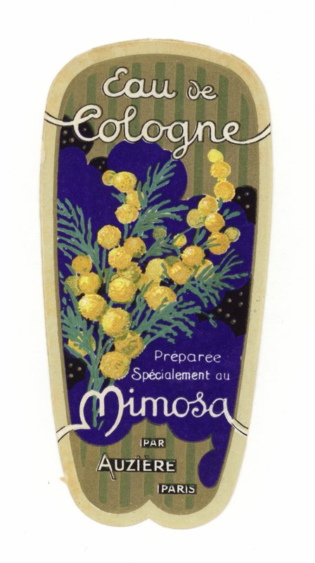 Rótulo de Eau de Cologne, Mimosa de French School