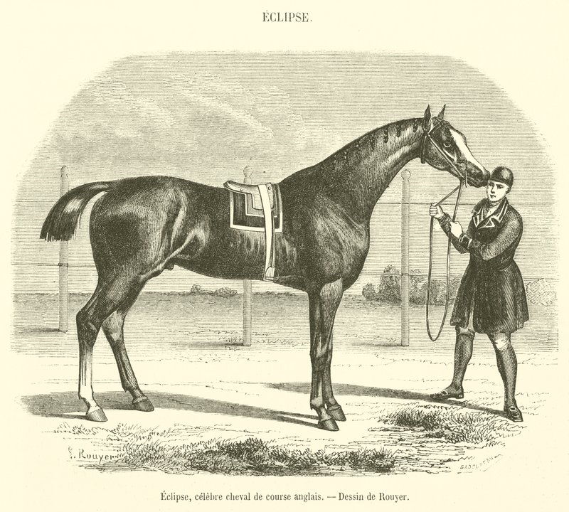 Eclipse, famoso cavalo de corrida inglês (gravura) de French School