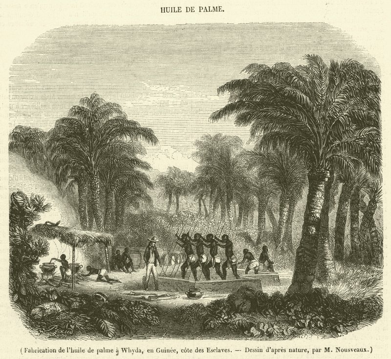 Produção de óleo de palma em Whyda, Guiné, Costa dos Escravos (gravura) de French School