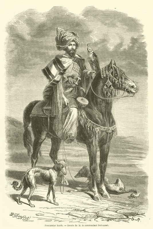 Kurdish Fauconnier (gravura) de French School