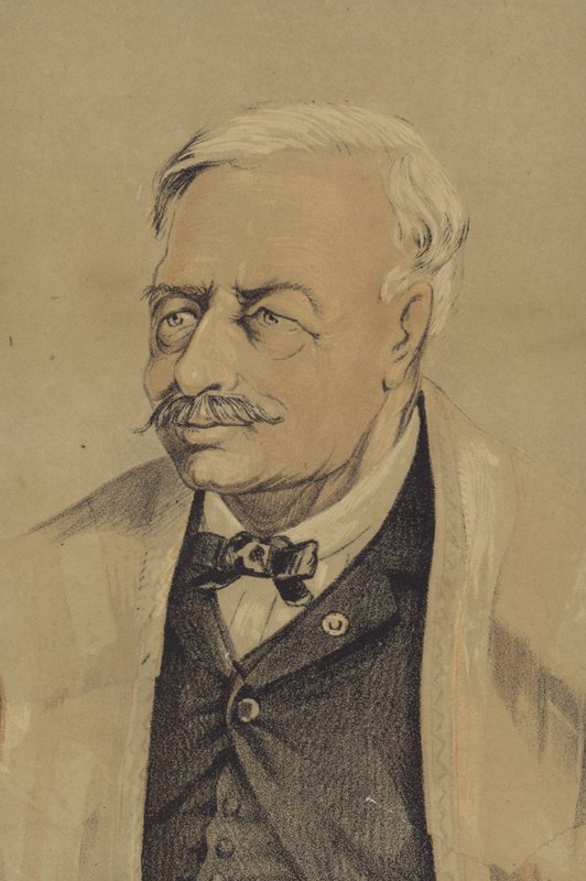 Ferdinand de Lesseps (imprimir) de French School