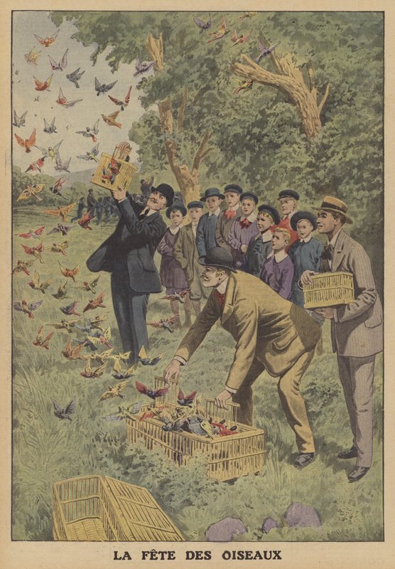 Festival das aves na Bélgica (cor litho) de French School