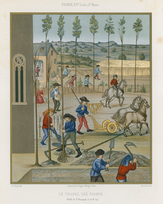 Trabalho de campo de French School