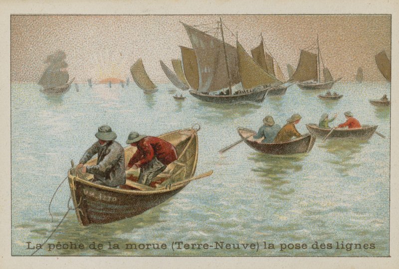 Pesca de bacalhau em Newfoundland - linhas de assentamento de French School