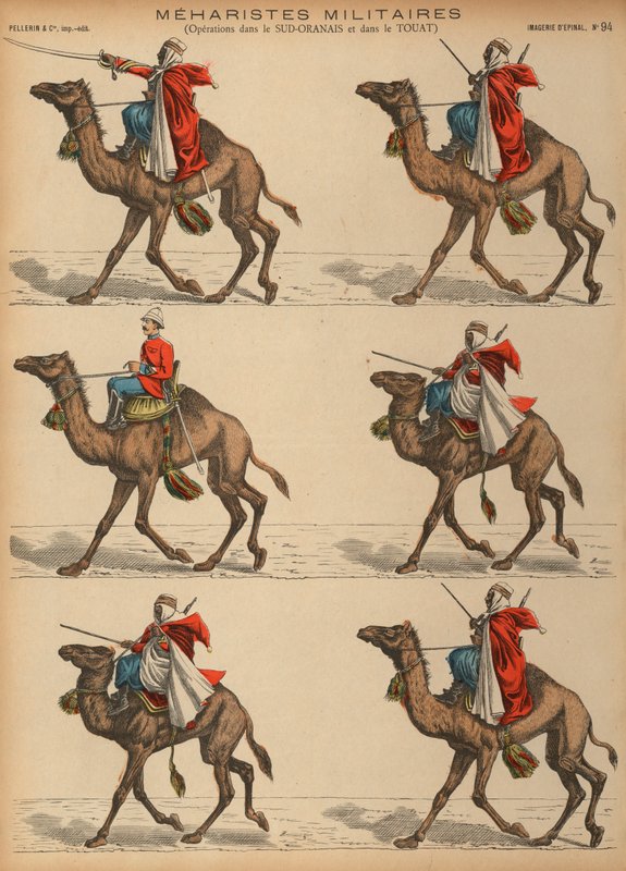 Meharistes do Exército Francês (cavalaria de camelos) na Argélia (gravura colorida) de French School