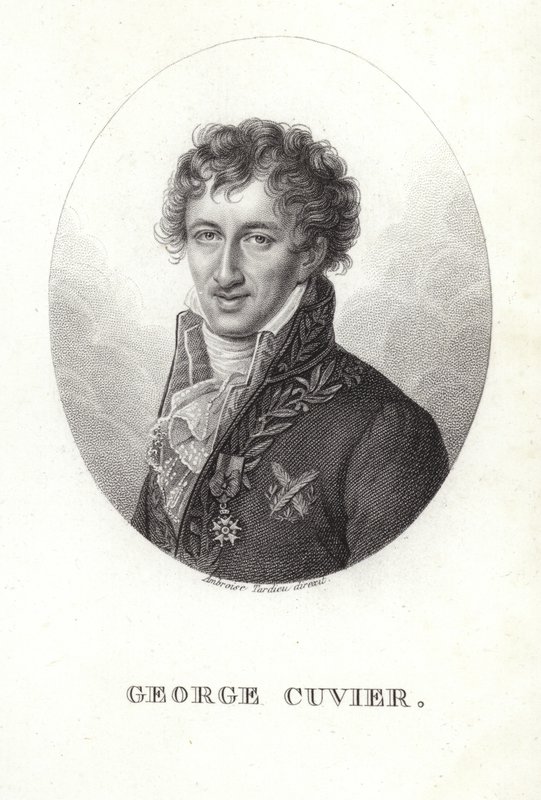 George Cuvier de French School