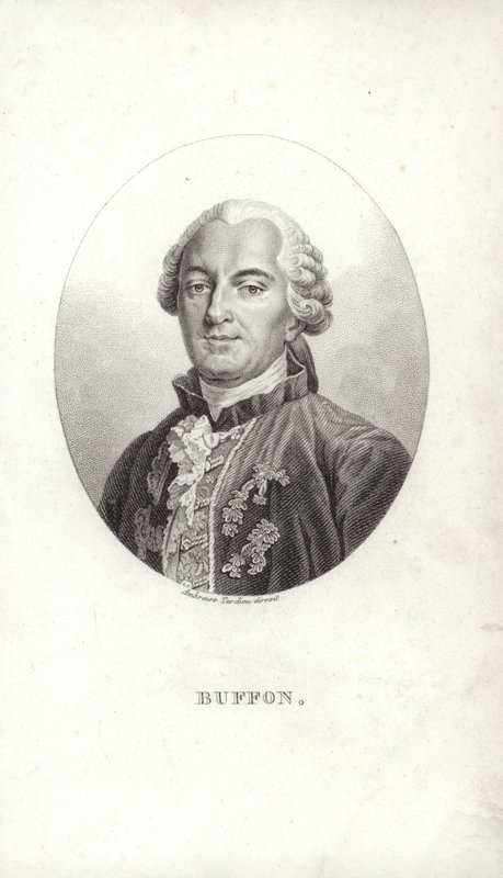 Georges-Louis Leclerc de French School