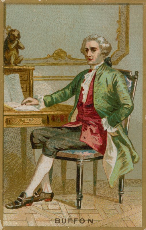 Georges-Louis Leclerc, conde de Buffon de French School