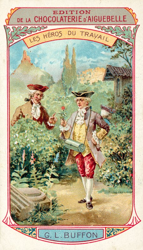 Georges-Louis Leclerc, Comte de Buffon, naturalista francês (chromolitho) de French School