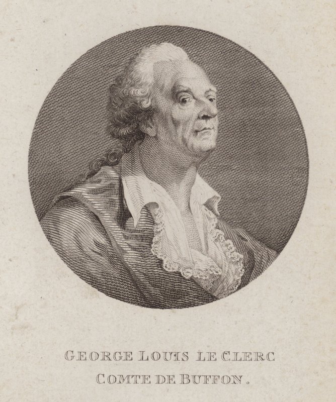 Georges-Louis Leclerc, Comte de Buffon, naturalista francês (gravura) de French School
