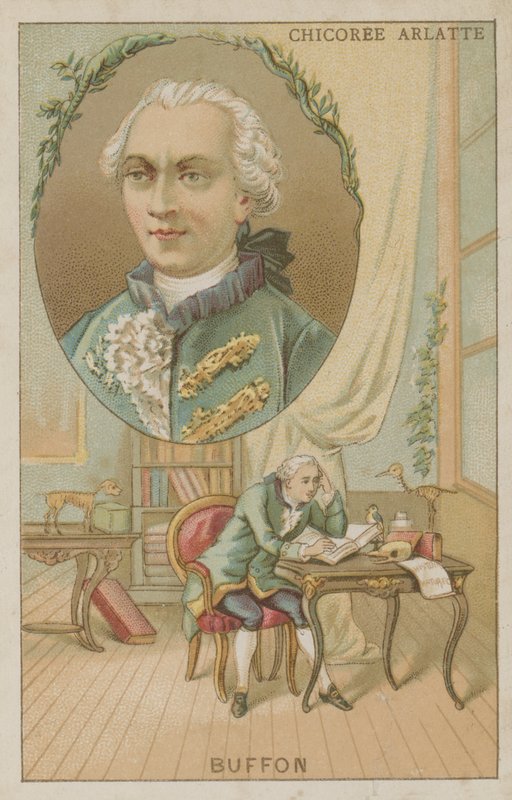 Georges-Louis Leclerc, conde de Buffon, naturalista francês de French School