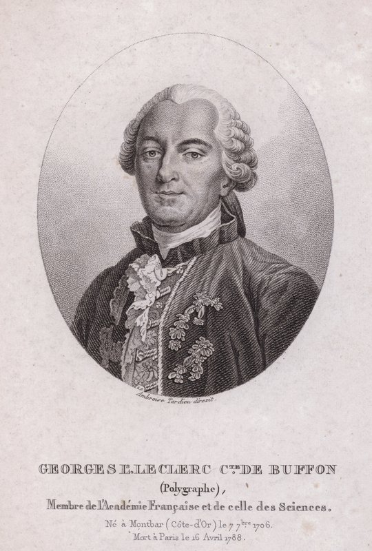 Georges-Louis Leclerc, Comte de Buffon, cientista e escritor francês (gravura) de French School