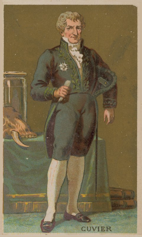 Georges Cuvier, naturalista francês e zoólogo (1769-1832) de French School