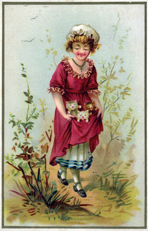 Menina, segurando, três, gatinhos, em, dela, avental de French School