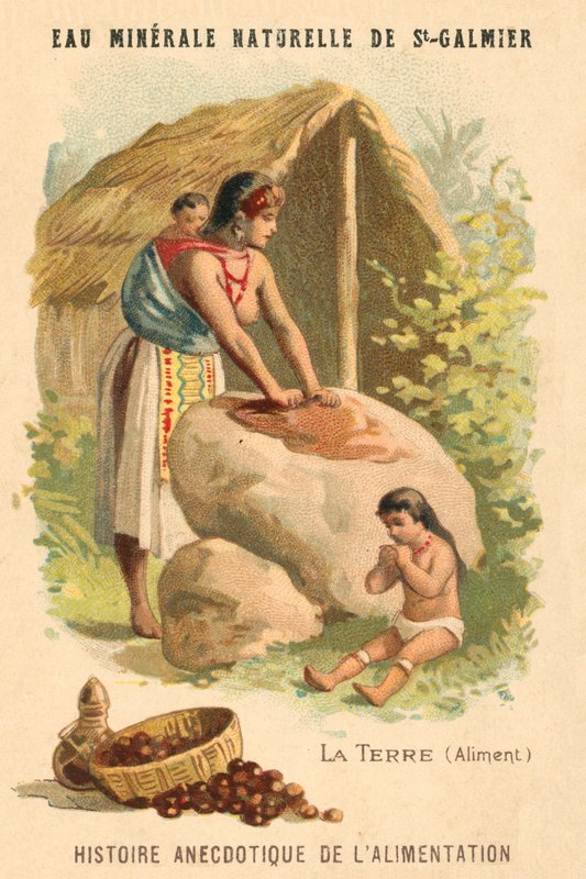 Porcas moídas (chromolitho) de French School