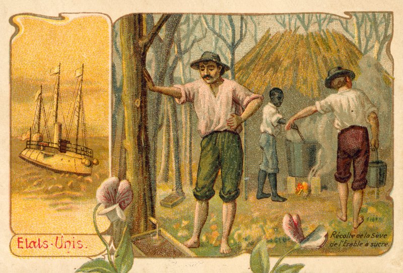 Colheita de seiva de bordo para fazer xarope de bordo, Estados Unidos (chromolitho) de French School