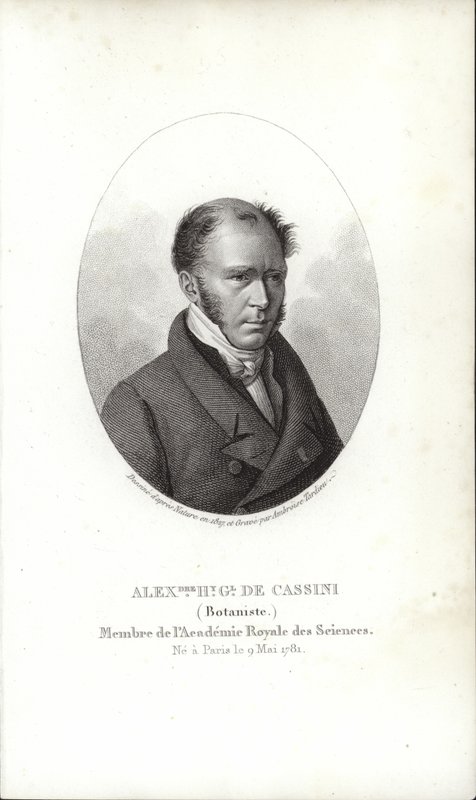 Henri Cassini de French School