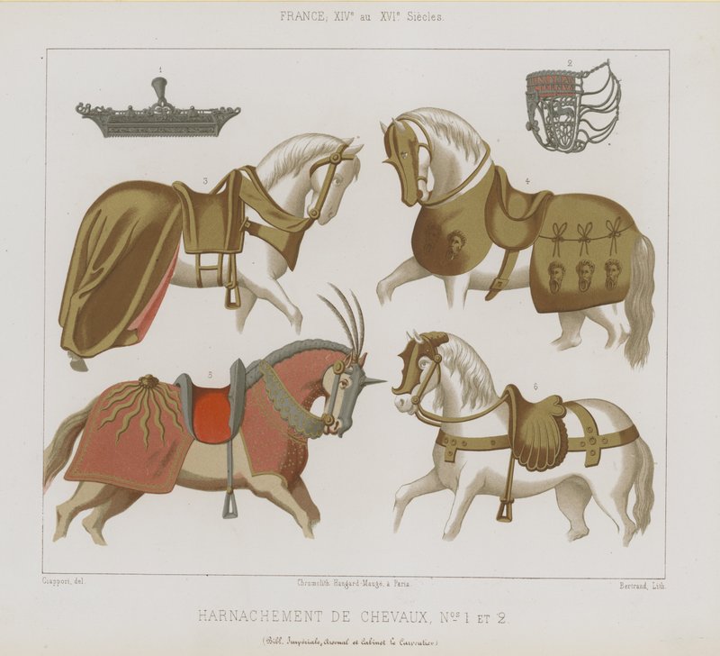 Arreios para cavalos de French School
