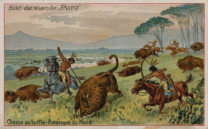 Búfalo caçando na América do Norte de French School