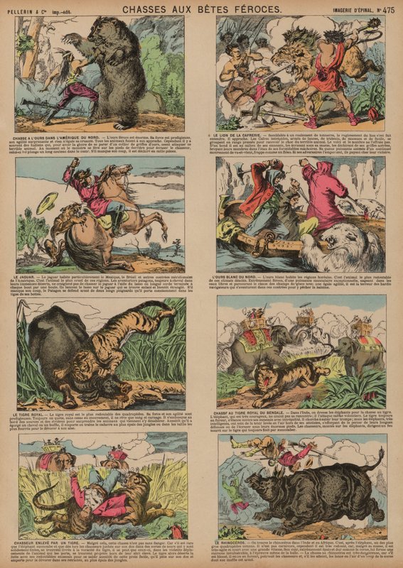 Caça de animais ferozes (gravura colorida) de French School