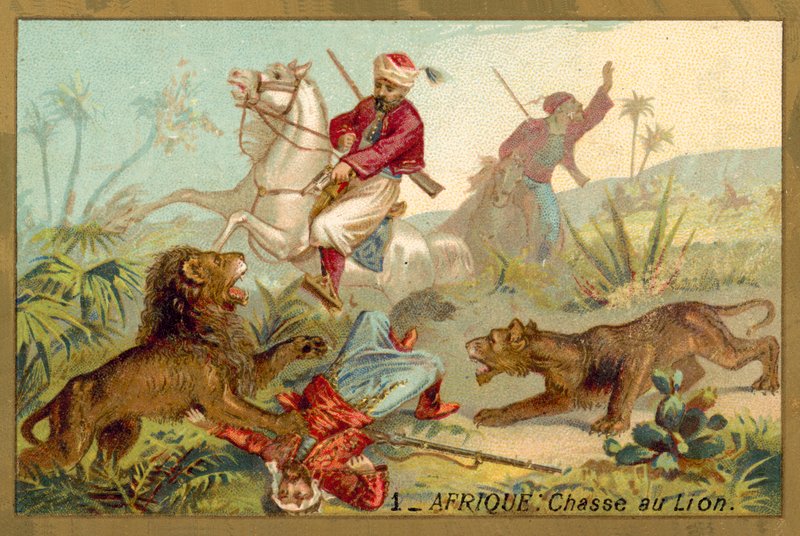 Caça ao leão em África (chromolitho) de French School