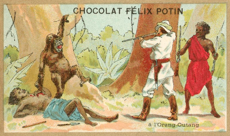 Caça ao orangotango (chromolitho) de French School
