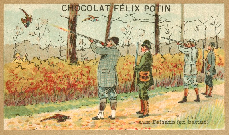 Faisão de caça (chromolitho) de French School