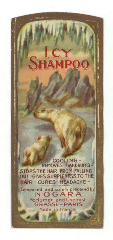 Rótulo de Shampoo Gelado, Nogara de French School