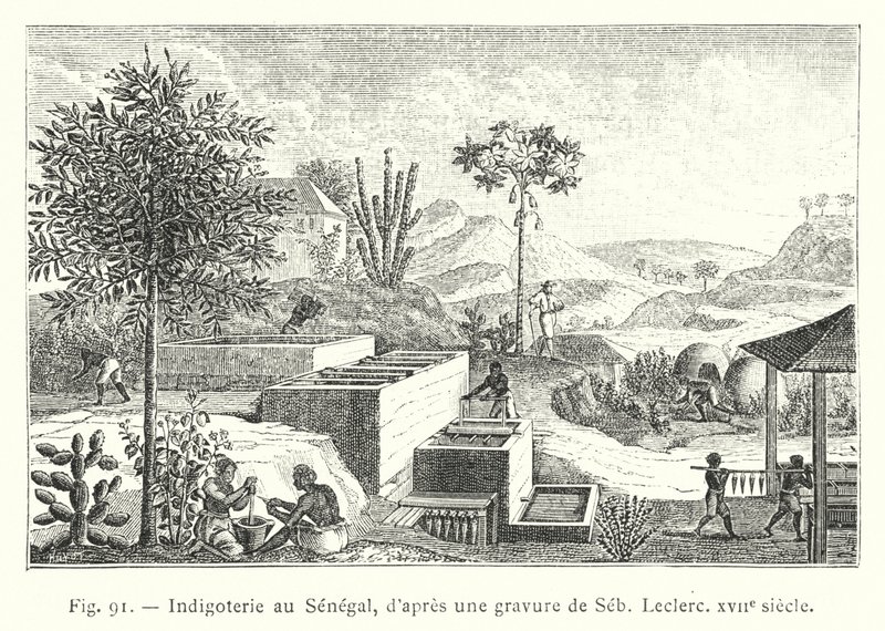 Indigoterie no Senegal, a partir de uma gravura de Seb, Leclerc, século XVII (gravura) de French School