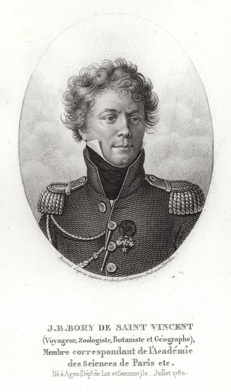 Jean-Baptiste Bory de São Vicente de French School
