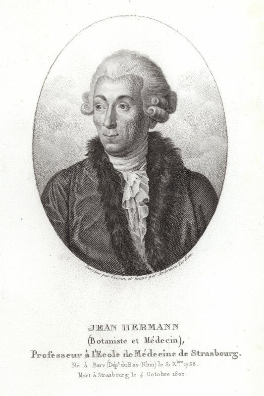Jean Hermann de French School