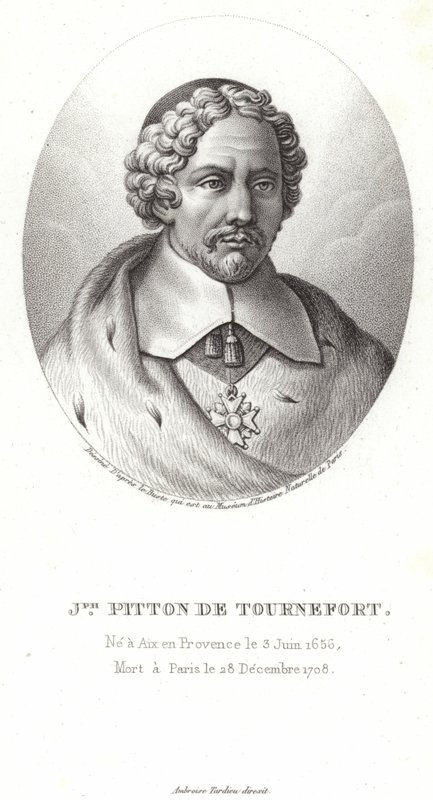 Joseph Pitton de Tournefort de French School