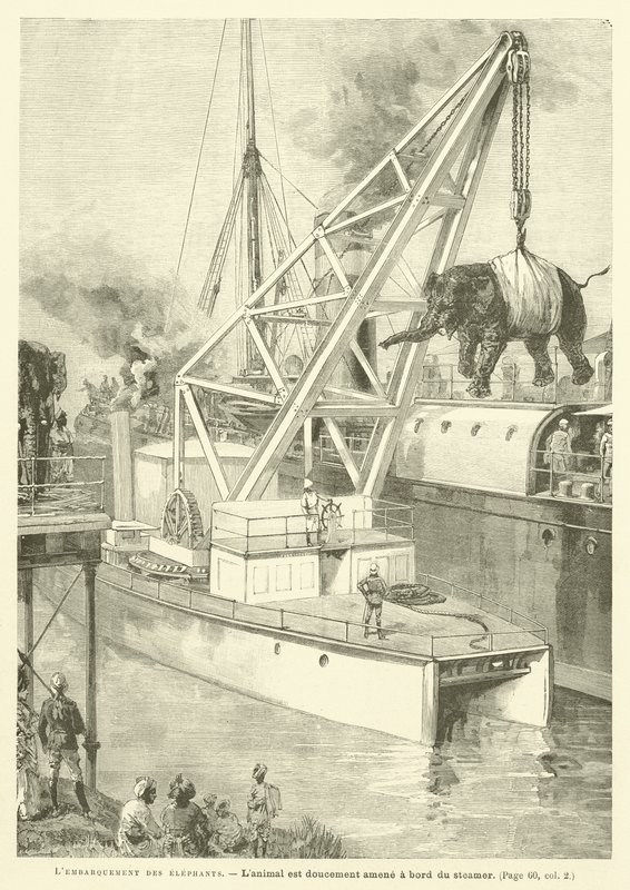 O Embarque do Elefante (gravação) de French School