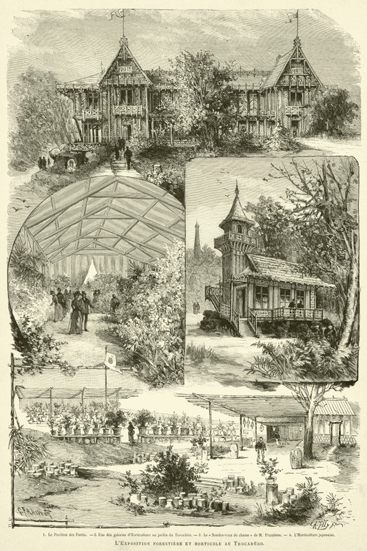 A Exposição Florestal e Horticultura no Trocadero (gravura) de French School