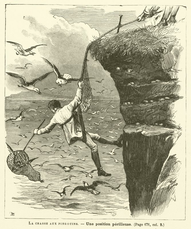 A Caça ao Pinguim (gravação) de French School