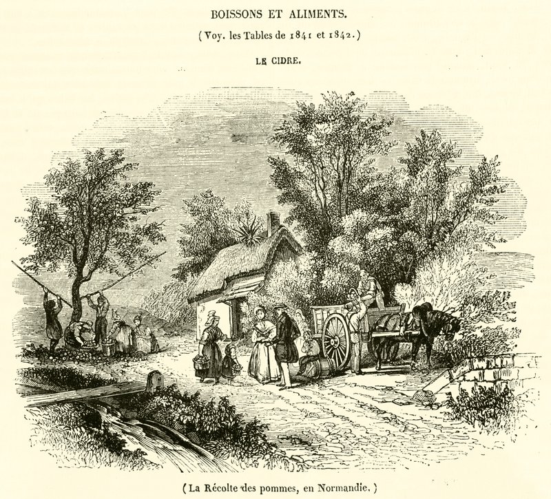 Colheita de maçãs, na Normandia (gravura) de French School