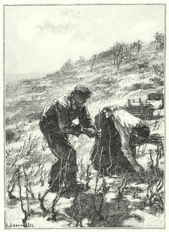 La Taille Des Vignes (gravura) de French School