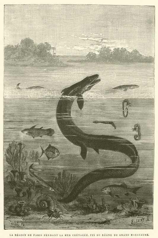 A região de Paris durante o Mar Cretáceo, fim do reinado do grande mosasaur (gravura) de French School