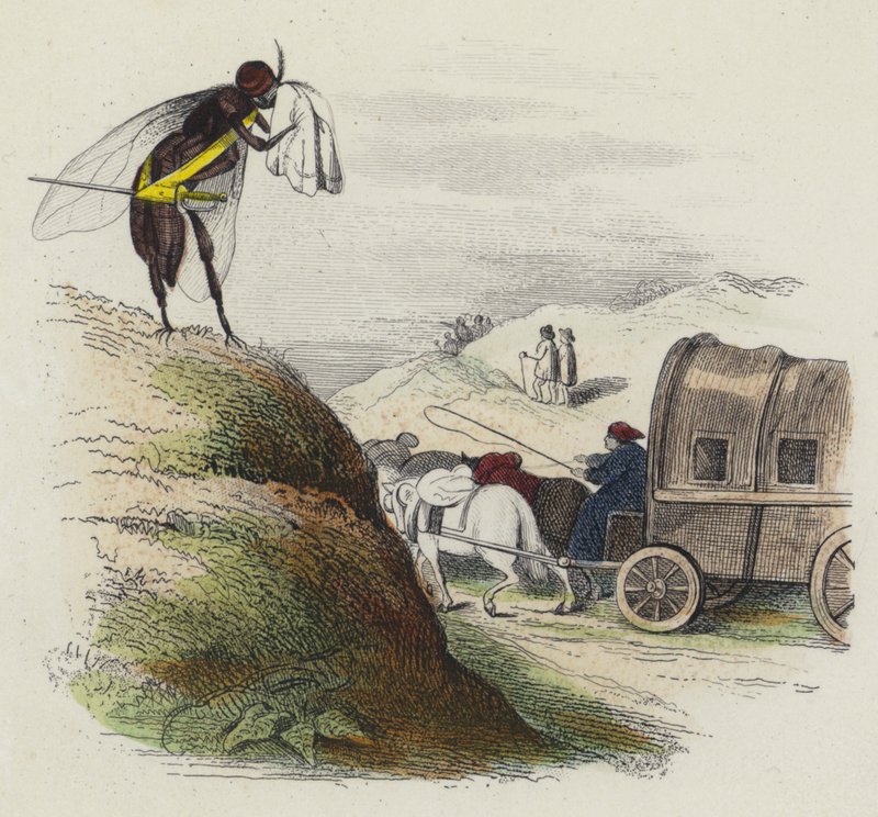 Le Coche Et La Mouche (gravura a cores) de French School