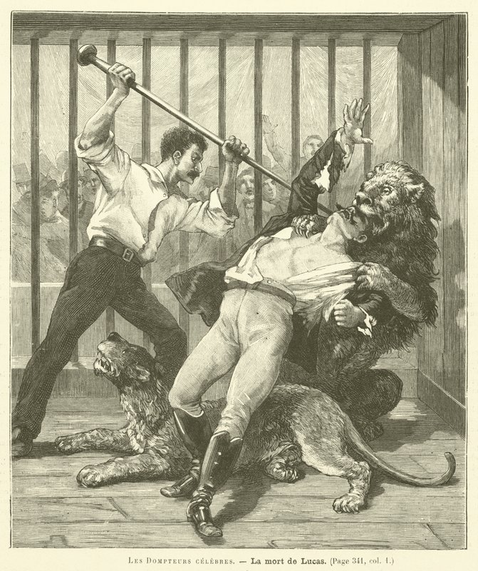 The Tamer Lucas de French School