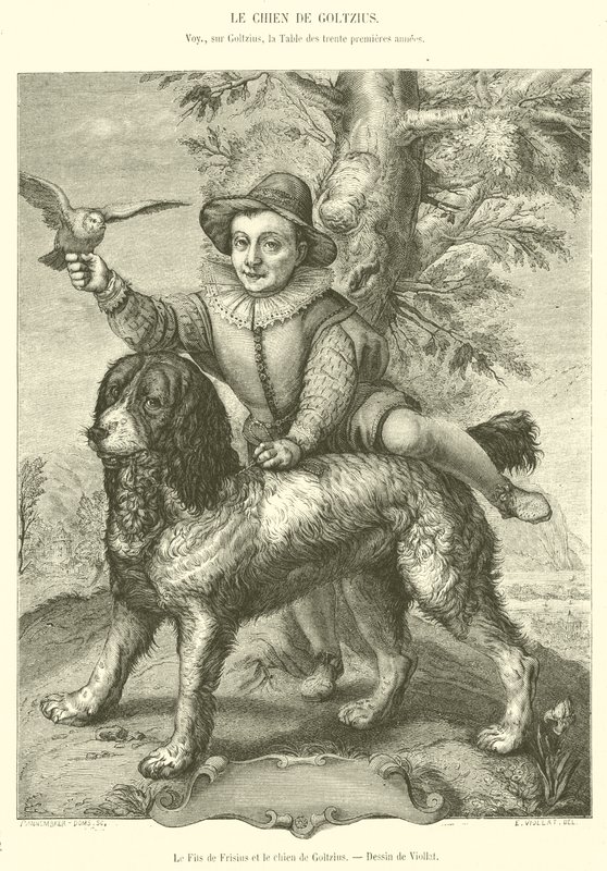 O Filho de Frisius e o Cão de Goltzius (gravura) de French School
