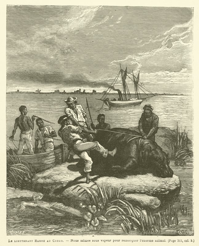 Tenente Harou No Congo (gravura) de French School