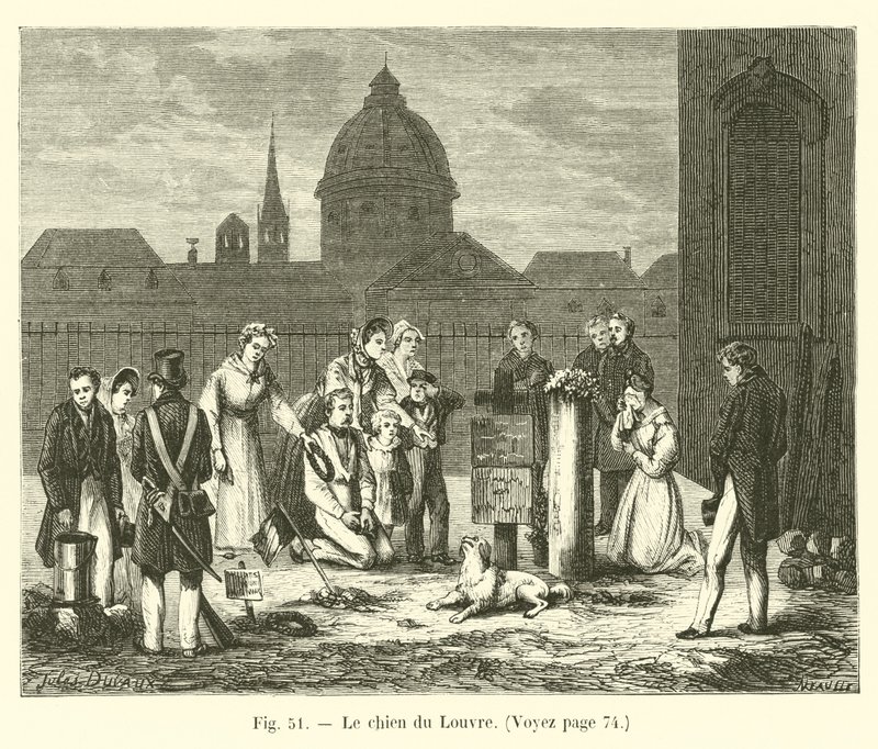 O cão do Louvre de French School