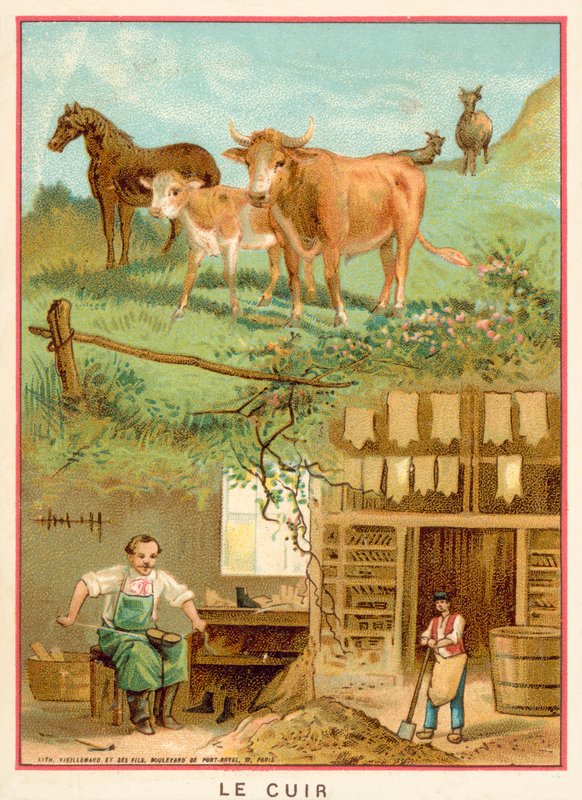Couro (chromolitho) de French School